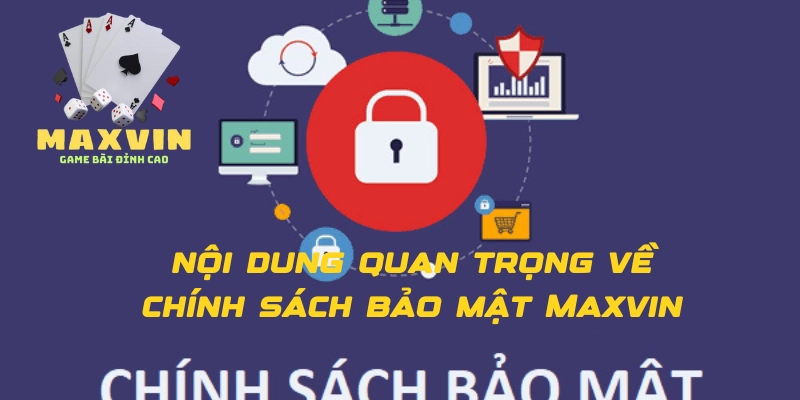 Những nội dung quan trọng về chính sách bảo mật Maxvin