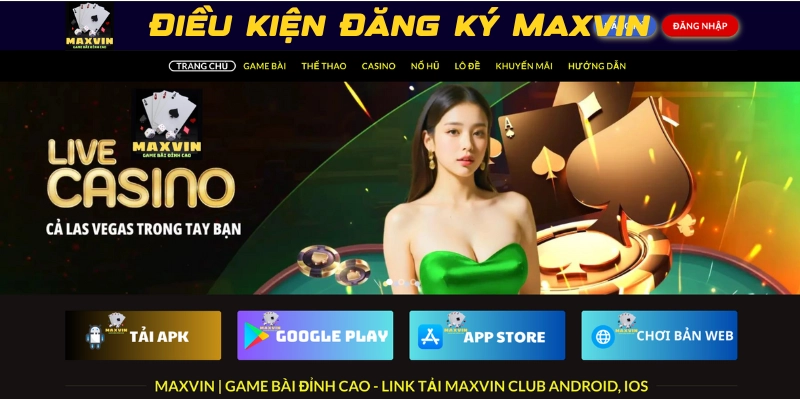 điều kiện để đăng ký maxvin