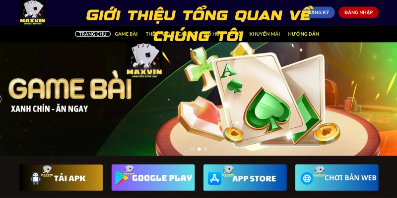 Giới thiệu tổng quan về chúng tôi Maxvin