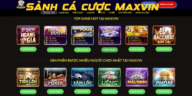 Sảnh cá cược Maxvin